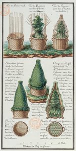 Illustration af en vævet kurv til transport af planter, fra kunstnerens notesbog lavet under Jean-Francois Gallup de la Perouses (1741-88) ekspeditioner (pen og blæk og wc på papir)